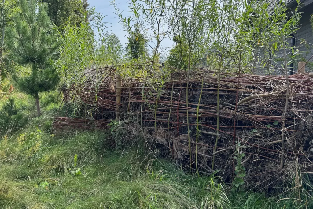 Bereits verwitterte Benjeshecke in einem Wald