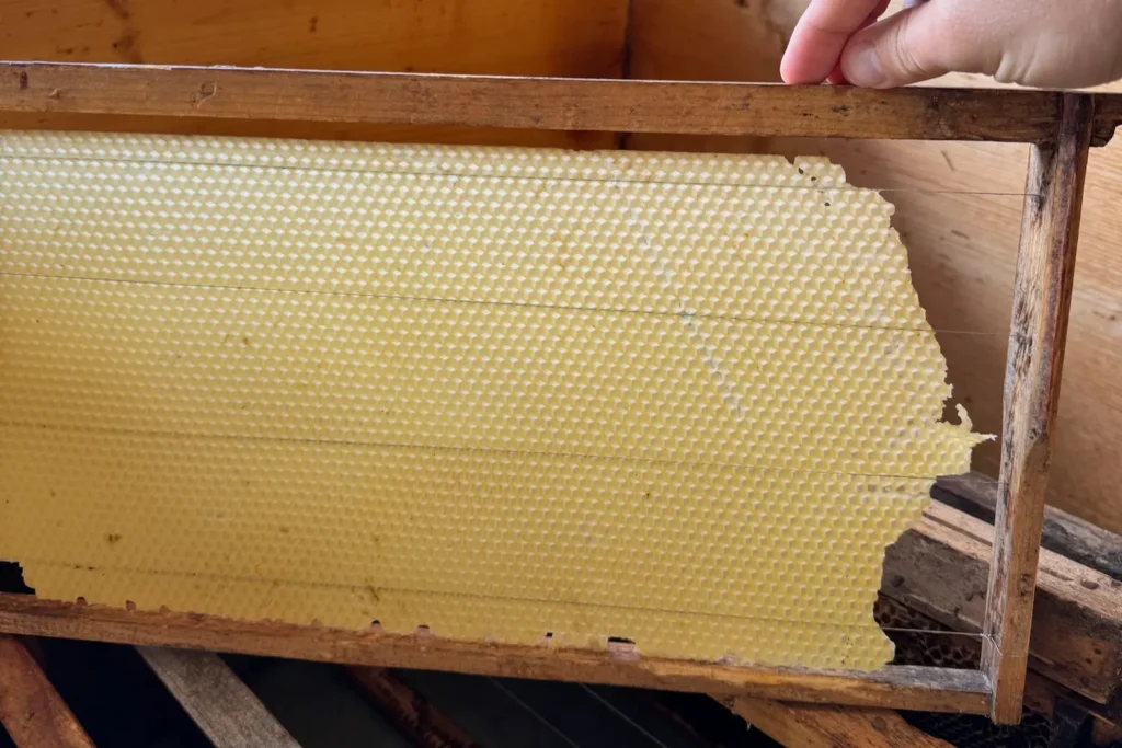 Holzrahmen mit vorgefertigter Wachs-Mittelwand für Honigbienen.