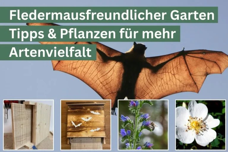 Fledermausfreundlicher Garten – Tipps & Pflanzen für mehr Artenvielfalt Fledermausfreundlicher Garten – Tipps mit Pflanzen, Rosen, Stauden und Fledermauskästen für mehr Artenvielfalt.