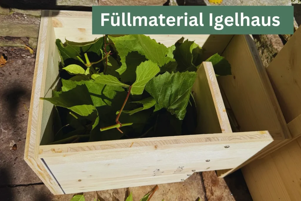 Blick ins Innere des Igelhauses mit frischem Laub als Füllmaterial.