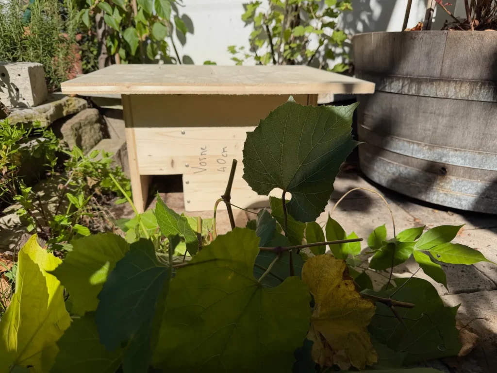 Igelhaus steht geschützt auf einer Terrasse.