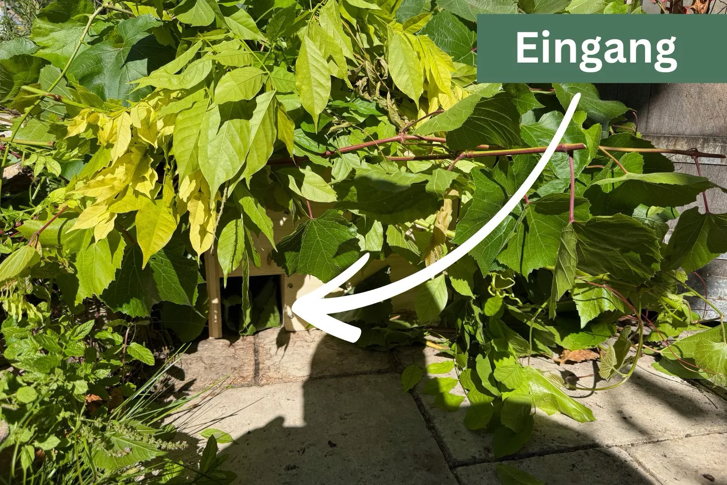 Einfaches Igelhaus bauen: Schritt-für-Schritt-Anleitung für den Garten