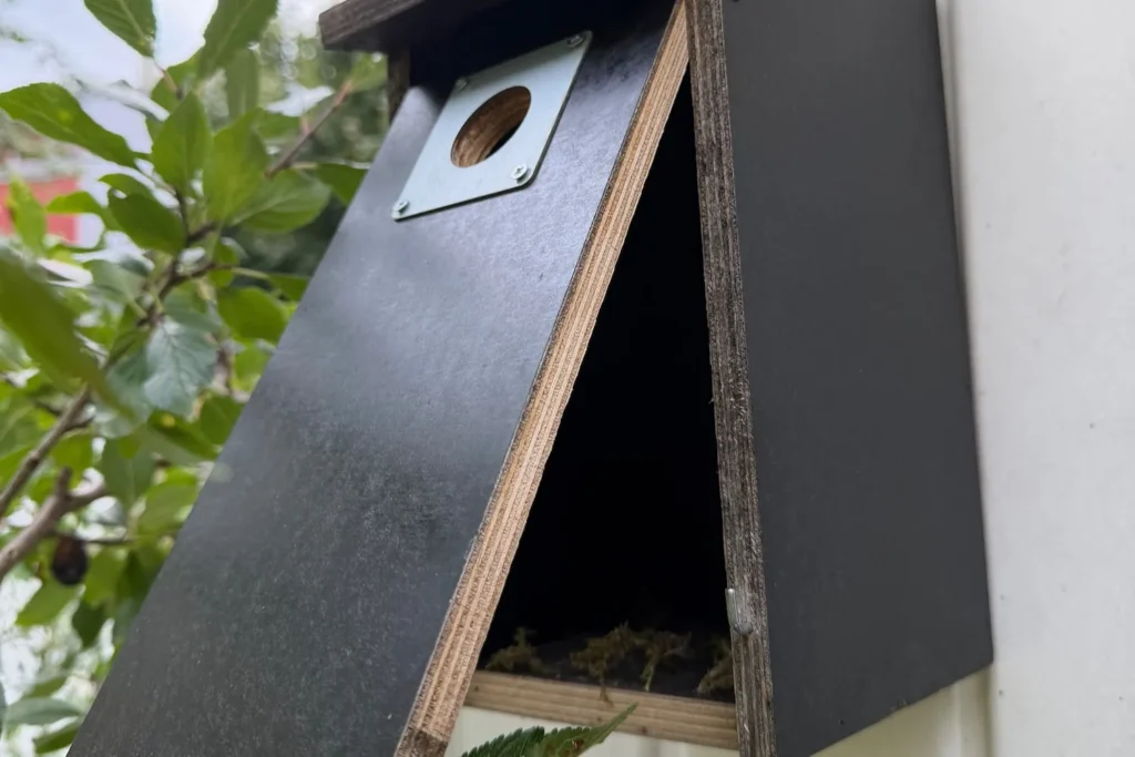 Nistkasten aus Holz mit Metall-Schutz am Einflugloch, aufgehängt an einer Hauswand