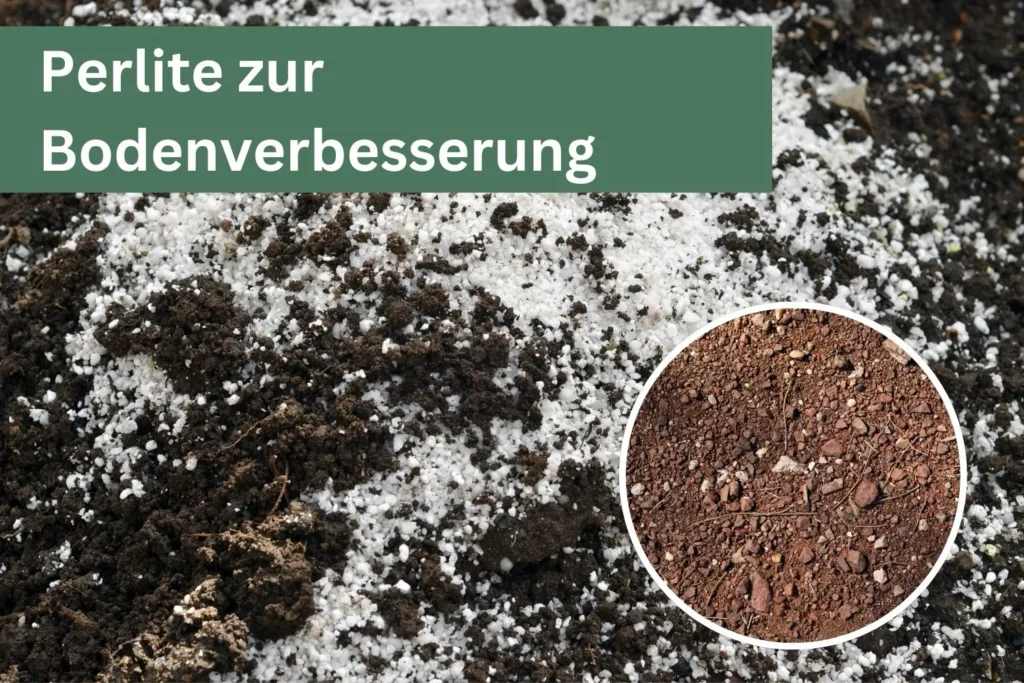 Perlite auf dunkler Erde zur Bodenverbesserung und besseren Wasserdurchlässigkeit.