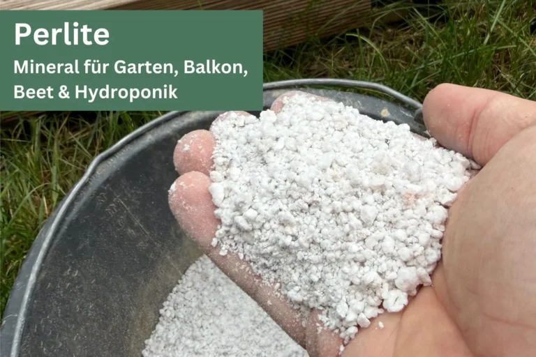 Perlite – das vielseitige Mineral für Garten, Balkon, Beet & Hydroponik Hand hält weißes, lockeres Perlite-Granulat für Garten und Hochbeete.