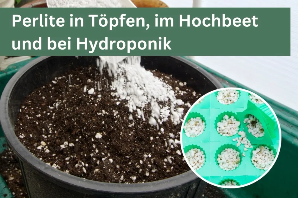 Perlite wird in Blumenerde eingestreut und in Hydroponikzellen verwendet.