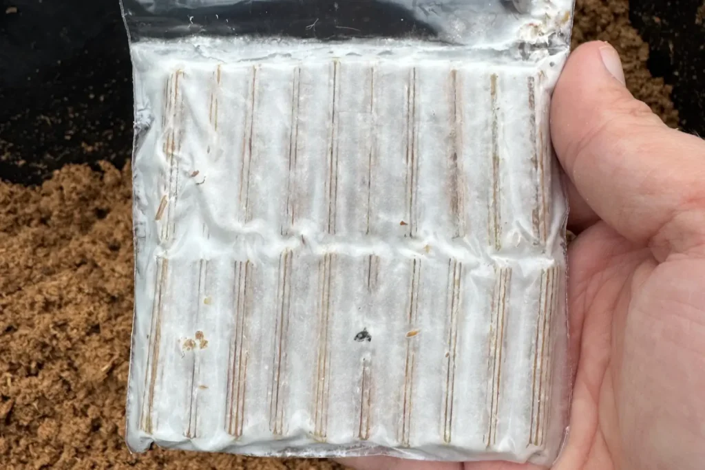 Eine Packung Pilzdübel mit weißem Mycel, bereit zum Einsetzen in das Substrat.