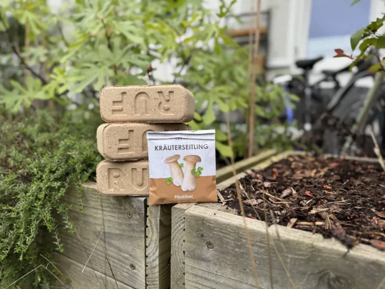 Pilze im Garten und auf dem Balkon anbauen: So gelingt das eigene Pilzbeet Pilzbeet-anlegen-Substrat-Duebel