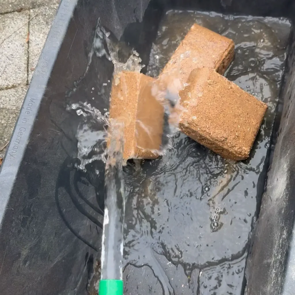 Wasser wird über die Substratblöcke in einer Wanne gegossen.