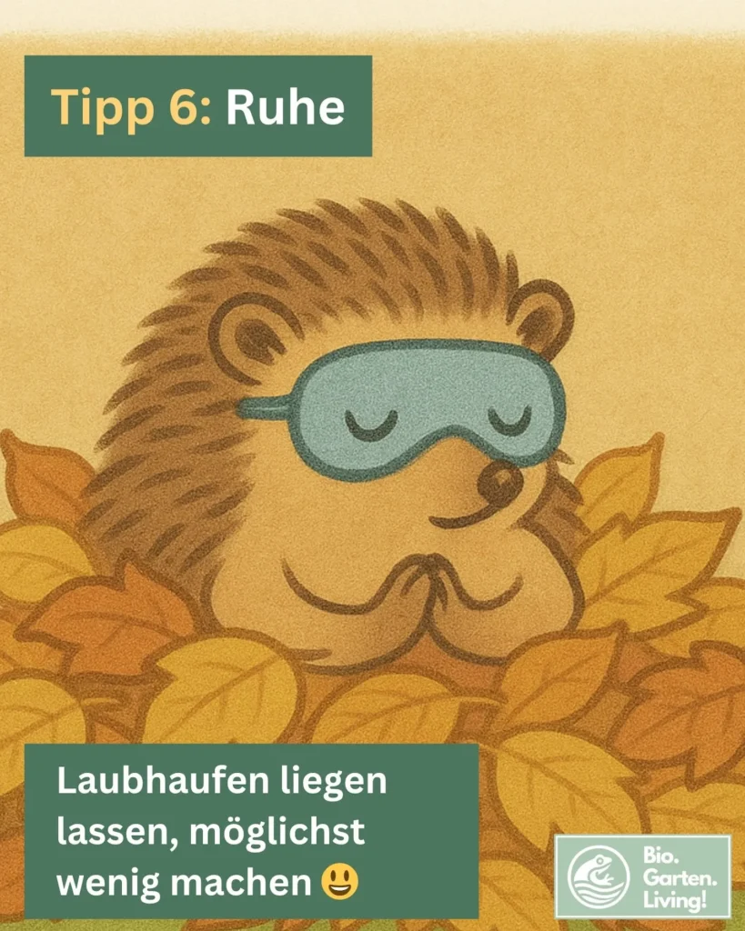 Illustration eines schlafenden Igels mit Schlafmaske in einem Laubhaufen als Hinweis, Laub liegen zu lassen und Rückzugsorte ungestört zu lassen.