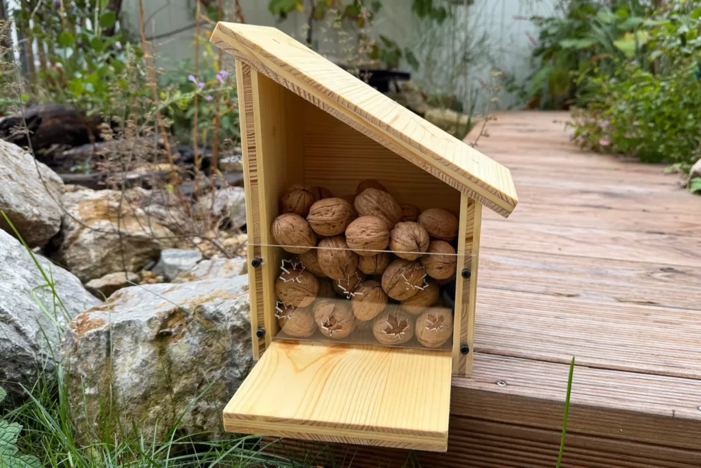 Fertig gebautes und mit Nüssen befülltes Eichhörnchen-Futterhaus aus Holz mit Acrylscheibe und geneigtem Dach.