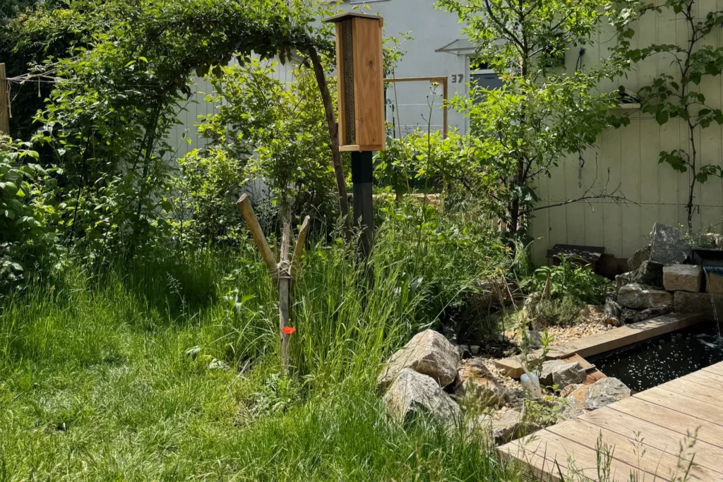 Naturnaher Garten mit Teich, heimischen StrÀuchern und Pflanzen.