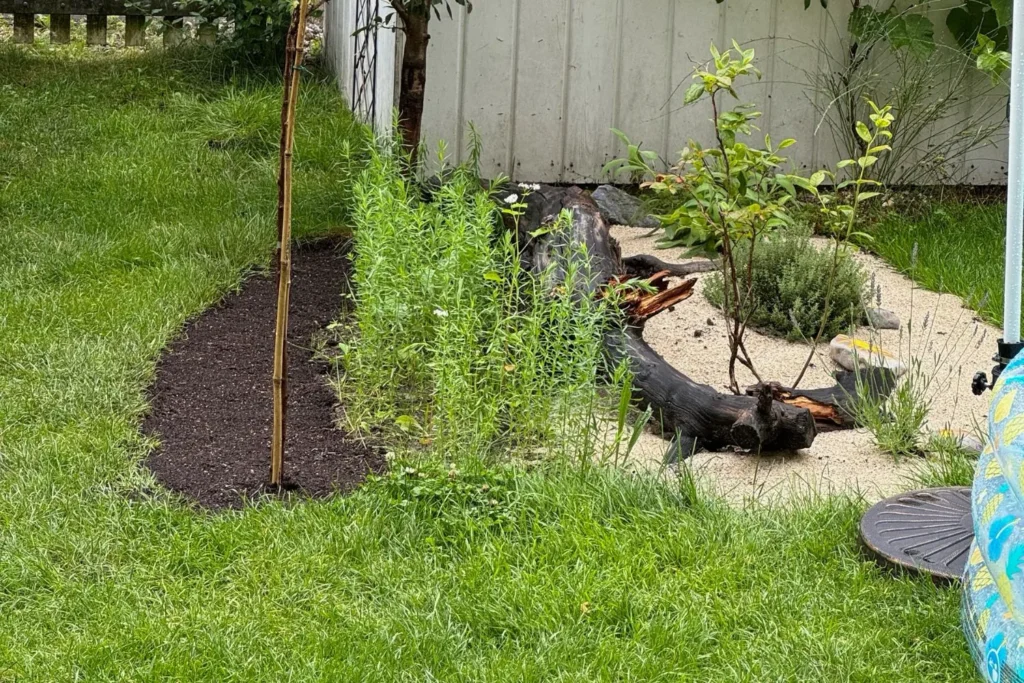 Junges Wildblumenbeet mit abgemagerter Sandfläche und Totholz, daneben frisch vorbereitete Pflanzzone.