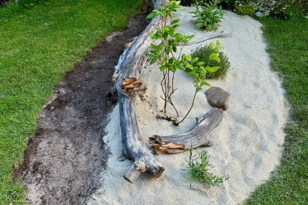 Sandbeet mit Totholzstamm und jungen Staudenpflanzen, in eine Rasenfläche integriert.
