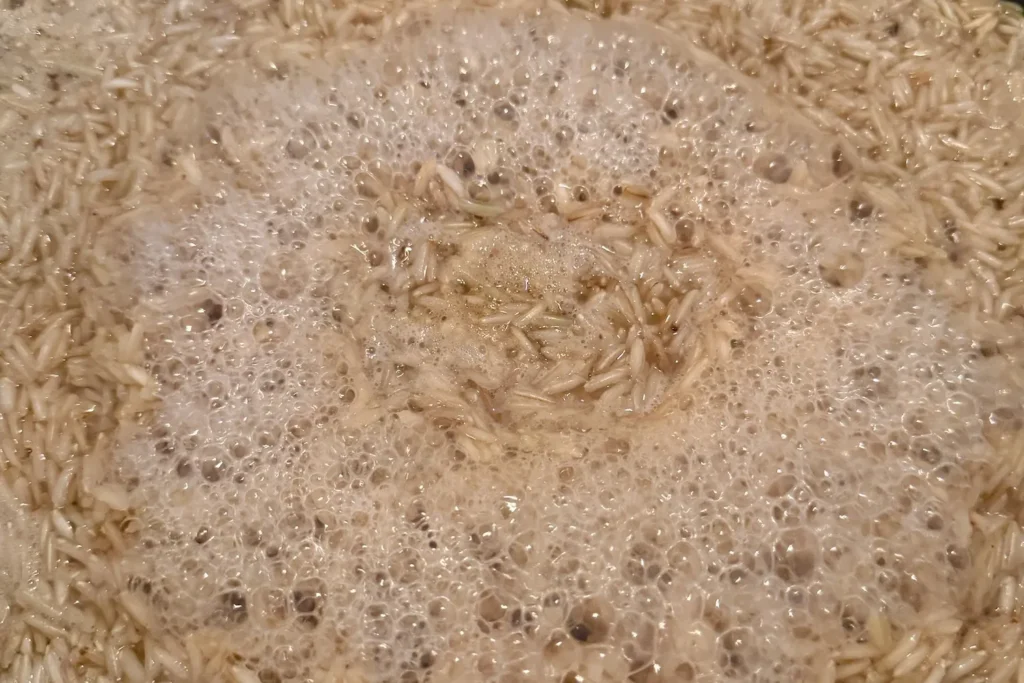 Basmati-Reis in einer Pfanne beim leichten Köcheln, Blasen steigen an der Oberfläche auf.