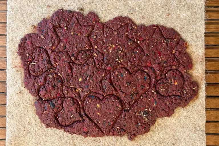 Blumenkonfetti & Samenpapier selber machen: So bastelst du nachhaltiges Konfetti mit Blumensamen Ausgestochene Herz- und Sternformen im noch feuchten Samenpapier mit sichtbaren Samen.