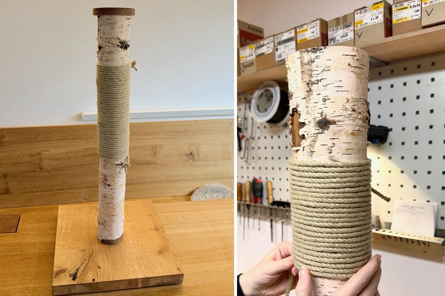 DIY Kratzstamm aus Birke – nachhaltige Kratzsäule aus Naturholz selber bauen