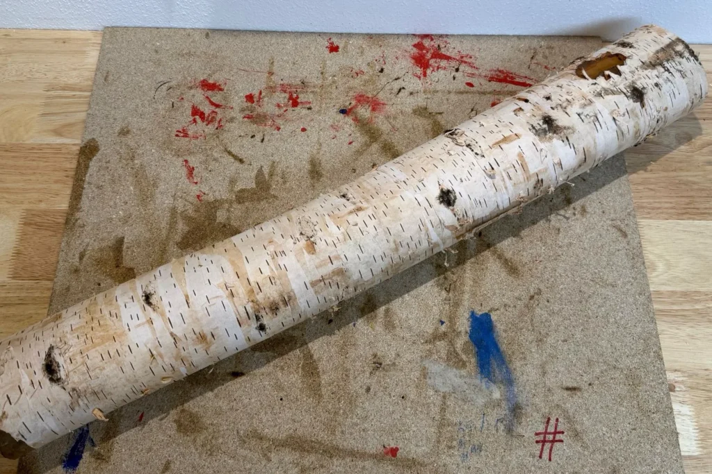 Birkenstamm mit heller Rinde liegt bereit für den Bau eines Kratzstamms aus Naturholz.