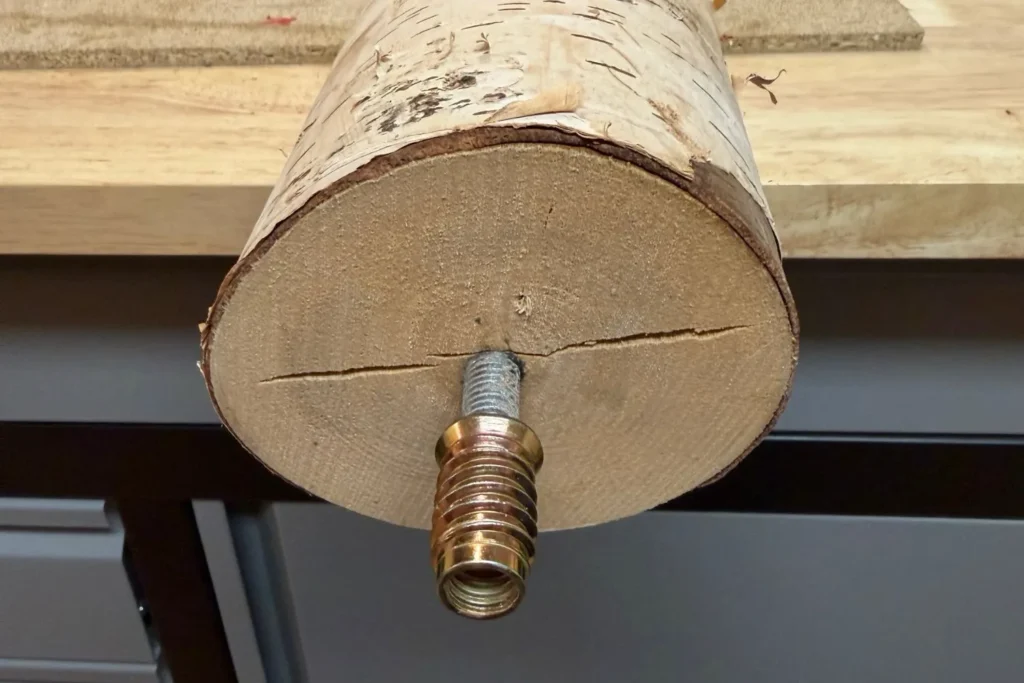 Detailaufnahme einer Stockschraube im Birkenstamm für den DIY-Kratzstamm.