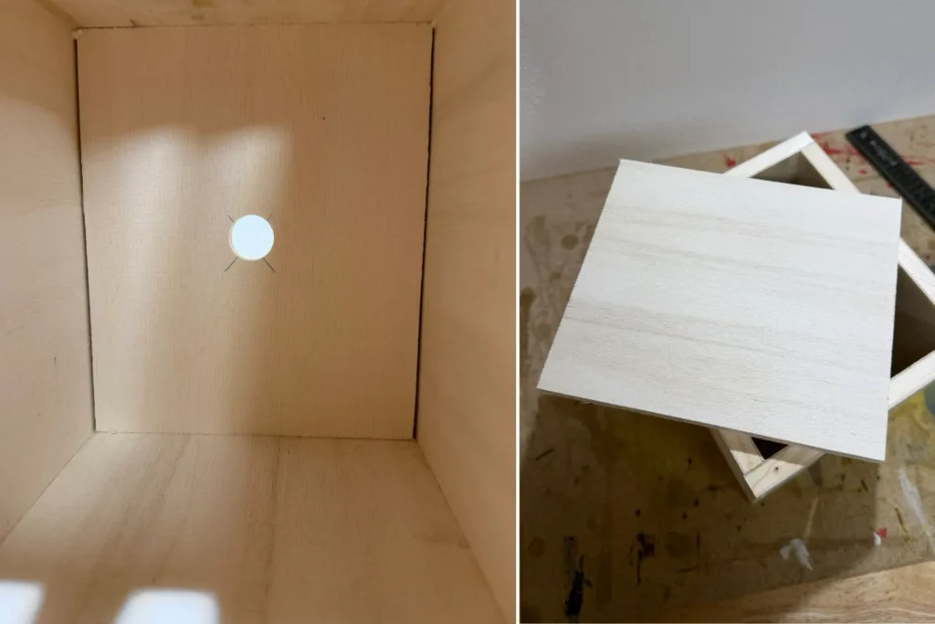 Innenraum eines Schmetterlingshauses mit eingesetzter Bodenplatte und 1-cm-Wasserablaufloch.