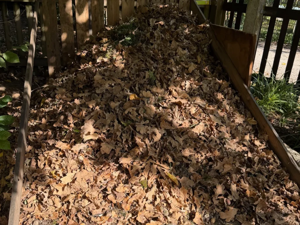 Laubhaufen aus Eichenlaub als natürliche Streuschicht und Ausgangsmaterial für Humusbildung