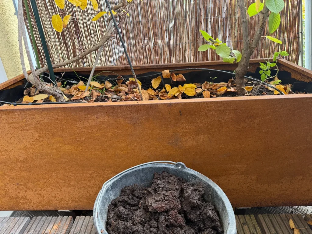 Frischer Wurmkompost als natürlicher Dünger für Hochbeet und Kübelpflanzen