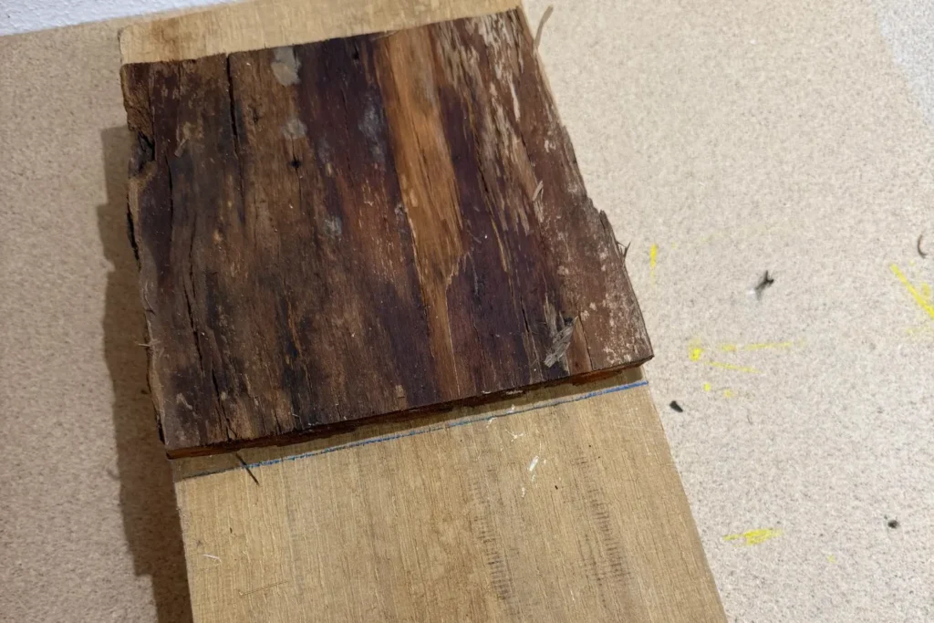 Ein zugeschnittenes Rindenstück wird probeweise auf ein Eichenbrett gelegt.