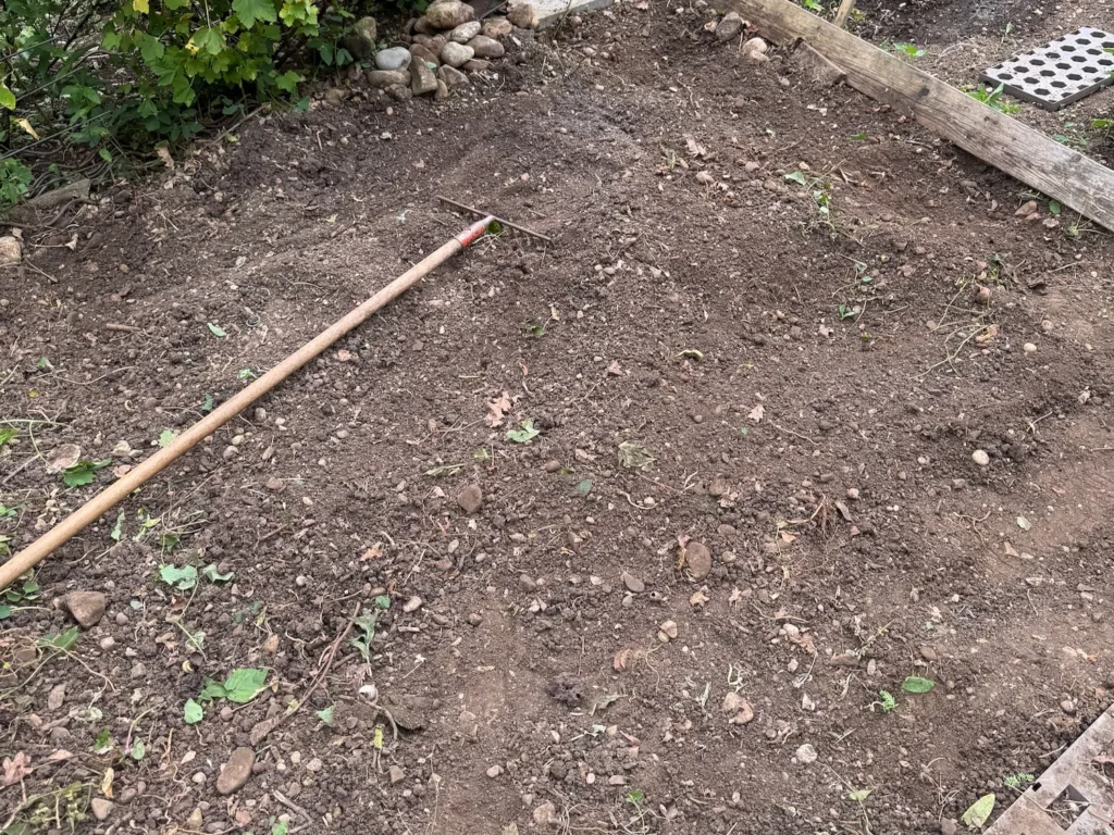 Feinkrümelige, humusreiche Gartenerde nach Bodenbearbeitung im Gemüsebeet