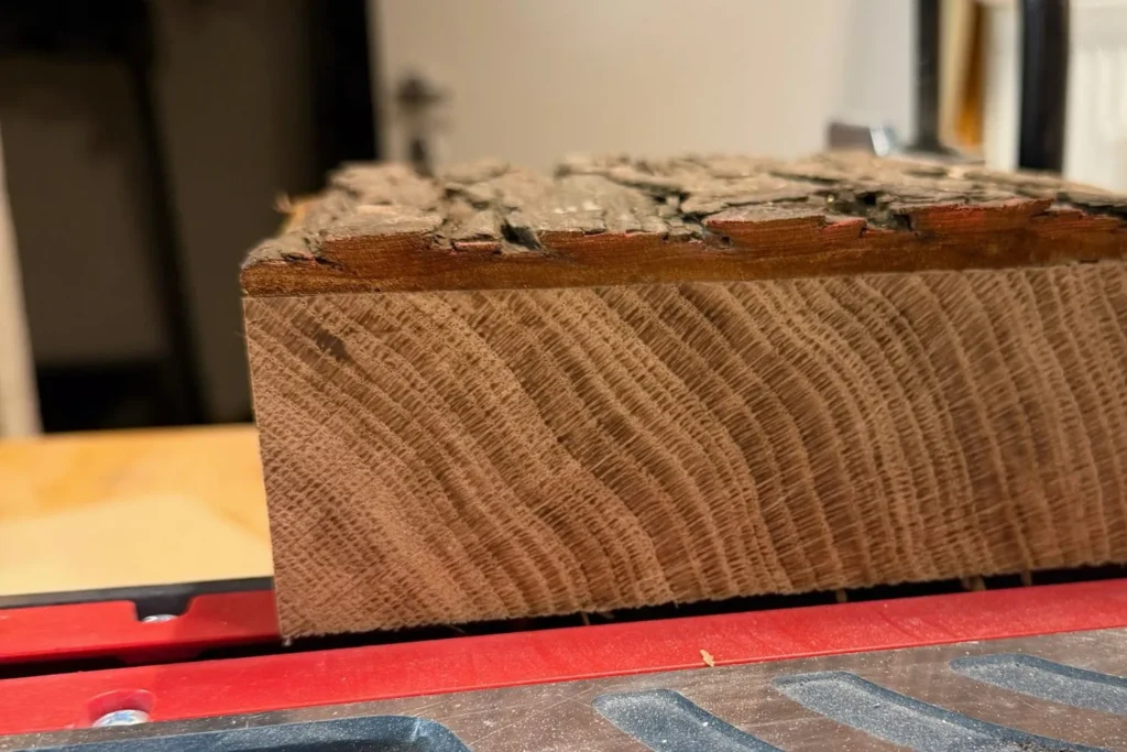 Seitenansicht eines Eichenblocks mit aufgeleimter Rinde vor dem Zuschnitt.
