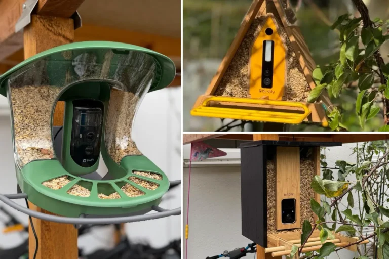 Smarte Vogelfutterstationen mit Kamera im Test – unsere Erfahrungen & Vergleiche Drei verschiedene, smarte Vogelfutterstationen.