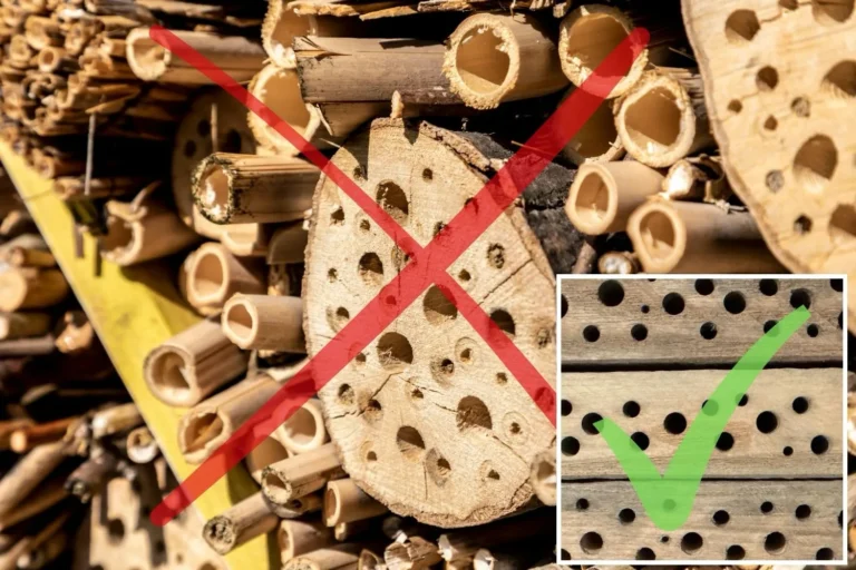 Problematisches Insektenhotel mit Hirnholz und ungeeigneten Materialien im Vergleich zu sauber gebohrtem Holz