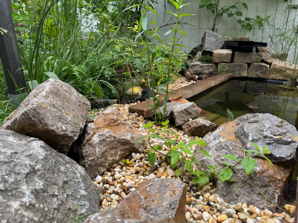 Naturnaher Gartenteich mit steinigem Uferbereich als Ein- und Ausstiegshilfe für Amphibien.