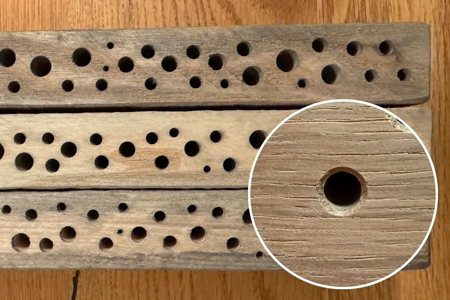 Lange, splitterfreie Nistgänge in Holz bohren (15–20 cm) – Technik & Bohrer erklärt