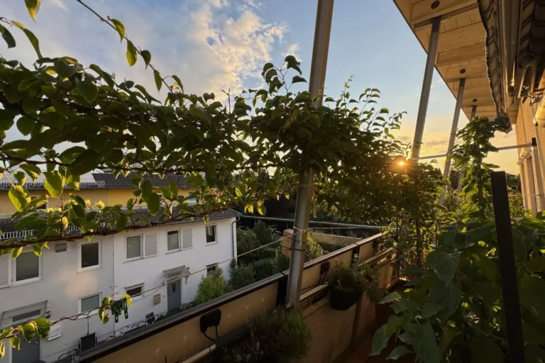 Wildbienenfreundliche Pflanzen für Balkon & Kübel: So unterstützt du Bienen ohne Garten Begrünter Balkon mit Kiwi als Kletterpflanze und natürlichem Sichtschutz