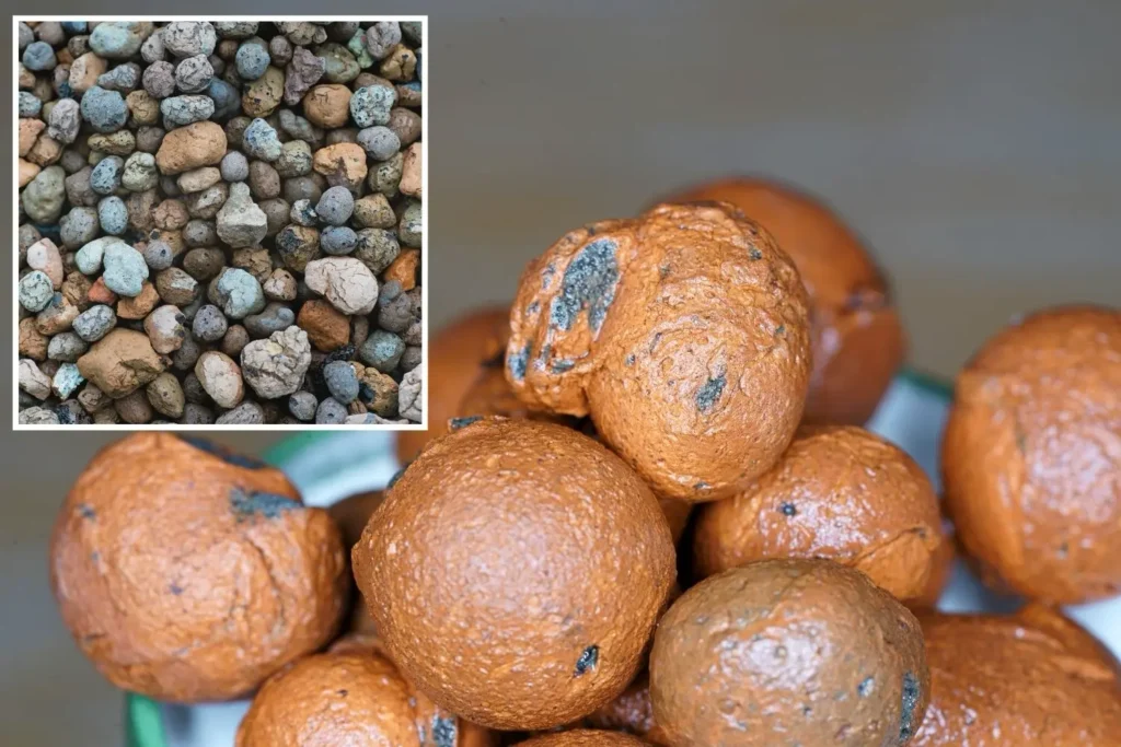 Nahaufnahme von Blähton-Kugeln mit poröser Oberfläche