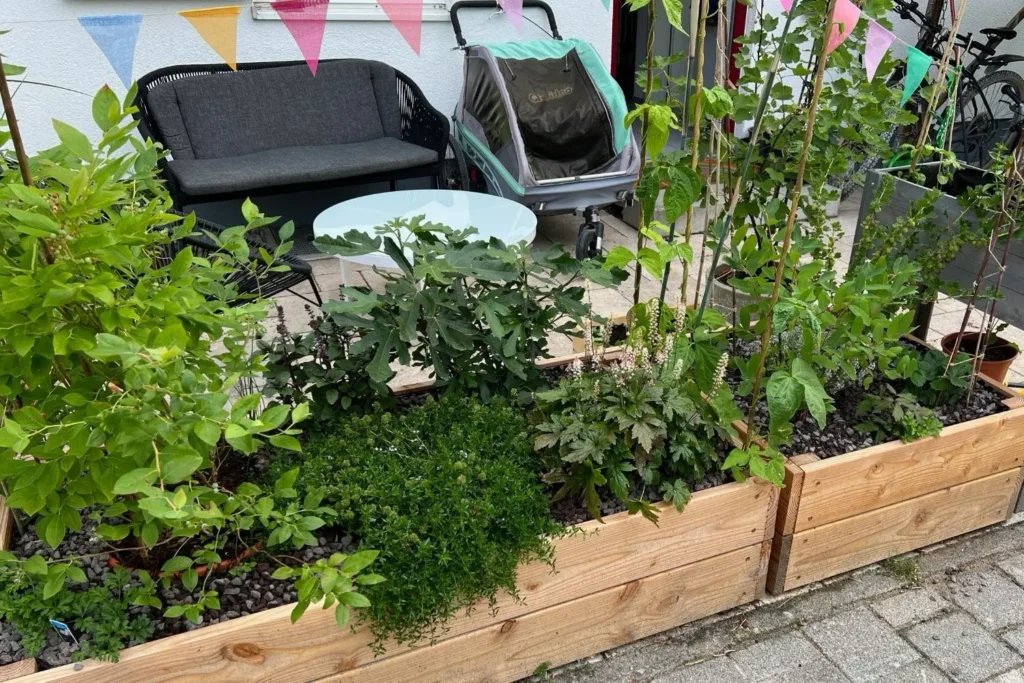 Naturnah bepflanzte Hochbeete mit Wildpflanzen und Kräutern auf Terrasse