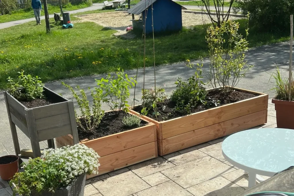 Große Pflanzkästen mit Mischbepflanzung aus Kräutern, Stauden und Gehölzen auf der Terrasse