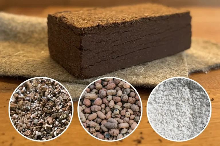 Pflanzsubstrate im Vergleich: Welches Substrat wofür geeignet ist Gepresster Kokoserde-Block im Vordergrund, darunter Detailansichten von Vermiculite, Blähton und Perlite als Substrat-Zuschläge im Vergleich.