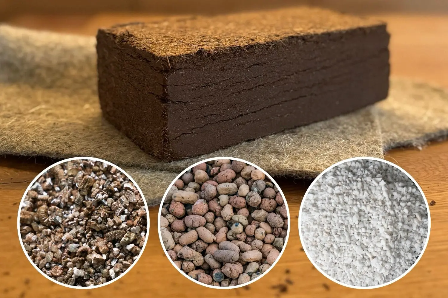 Pflanzsubstrate im Vergleich: Welches Substrat wofür geeignet ist