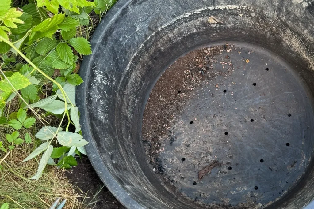 Pflanzkübel mit Abflusslöchern als Vorbereitung für eine Drainageschicht