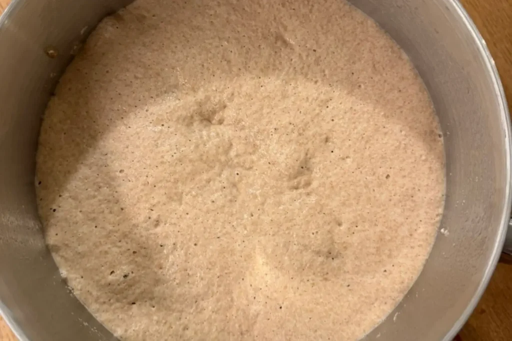 Dinkelvollkorn Hauptteig nach der Ruhezeit mit sichtbarer Aktivität