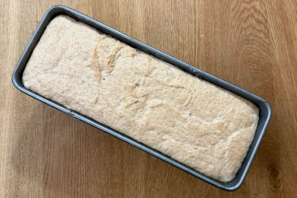 Dinkelvollkorn Teig während der Stückgare in einer Kastenform