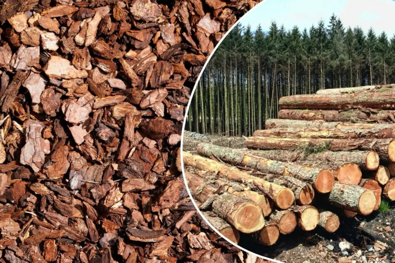 Rindenmulch aus Baumrinde und Holzstämmen im Wald – Ausgangsmaterial für Mulch im Garten