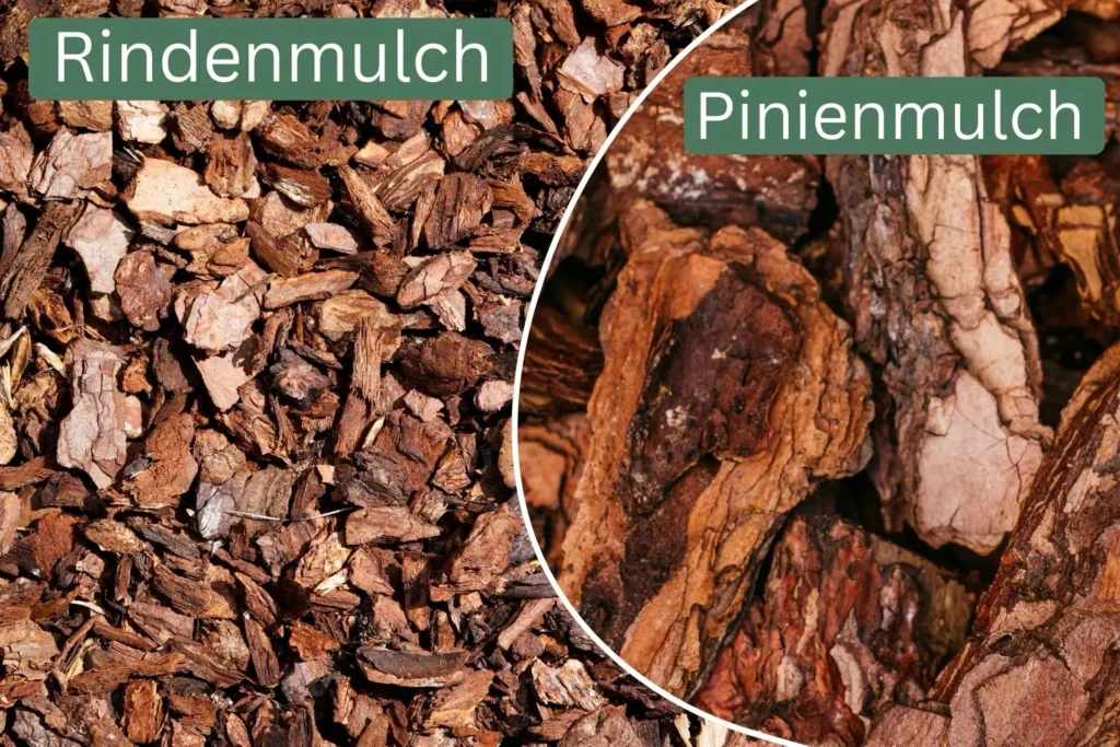 Vergleich von Rindenmulch und Pinienmulch – unterschiedliche Mulchmaterialien für Gartenbeete