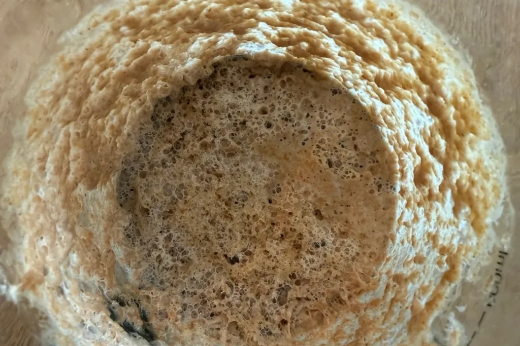 Detailaufnahme von Sauerteig mit vielen Gärblasen an der Oberfläche