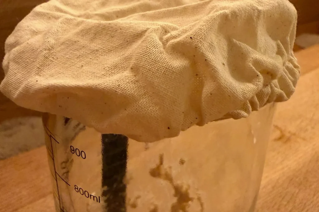 Sauerteigglas locker mit Stofftuch abgedeckt für Fermentation