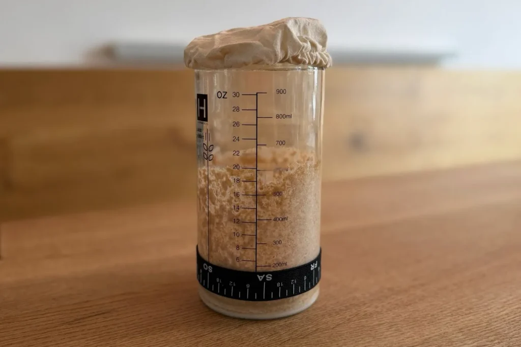 Sauerteig im Glas mit Markierungsband zur Kontrolle des Volumenanstiegs