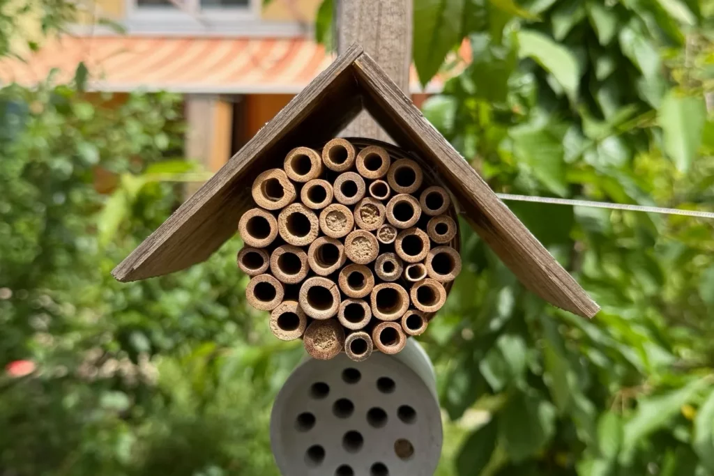 Kleines Wildbienenhotel mit Bambusröhrchen im naturnahen Garten