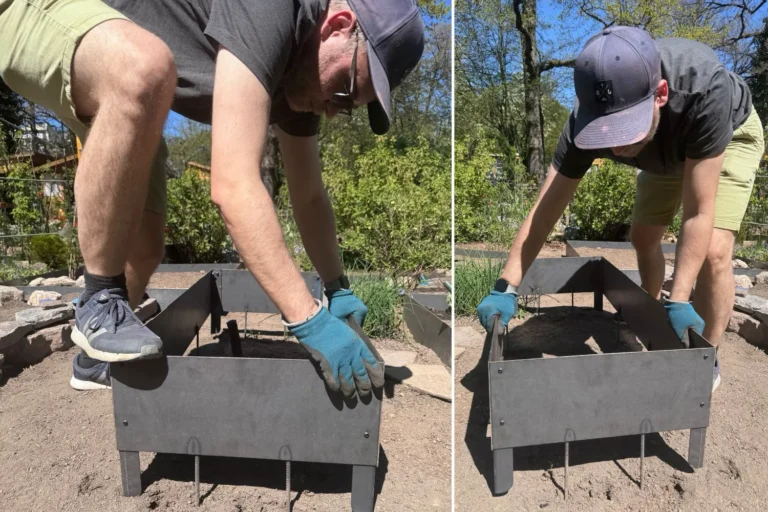 Cortenstahl als Beeteinfassung im Garten – Vorteile, Nachteile & unsere Erfahrungen Person steht auf Cortenstahl-Beeteinfassung beim Einsetzen in den Boden als Belastungstest