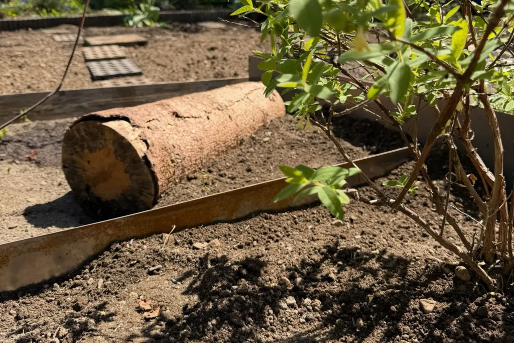 Cortenstahl-Beeteinfassung kombiniert mit Holzstamm und Bepflanzung im naturnahen Garten